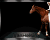 (VH) Walk With Horse