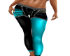 DARA TEAL/BLK PANT RLS