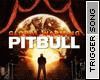 Pitbull - The Party
