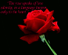 Rose Speaks of Love