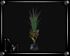 DM" Plant Flowerpot 5