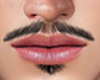 Tache V2