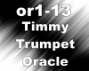Timmy Trumpet Oracle
