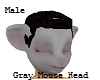 Gray Mouse Head Male