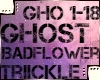 T♥ Ghost | Badflower