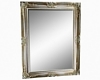 Mirror in Silver Frame