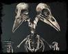 #two-headed bird