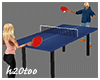 Ping Pong Table Anim