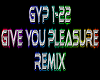 Give You Pleasure rmx