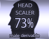 Head Resizer 73%