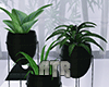 plants Set  ®