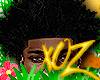 xOz Dr!ppy PAP! Fro '25