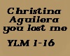 Christina A. you lost me