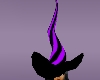 *Witch Hat B&P Animation