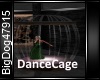 [BD]DanceCage