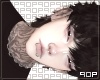 ✧. roi
