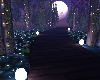 AIRE LIBRE DE NOCHE