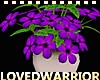 Periwinkle Flowers Decor