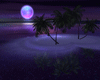 Neon Heart Night Island