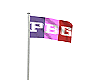 PBG FLAG