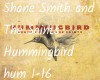 Shane Smith  Hummingbird
