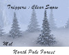 North Pole Forest Winter