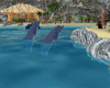 dolphin island+sound