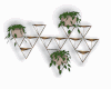Wall Plant Shelves