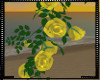 !I Bermuda Yellow Roses