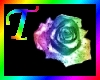 T Rainbow Rose Room