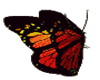Animatie Butterfly A C