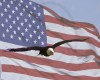 american flag w/eagle 3