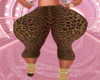 Leopard RXL Pants