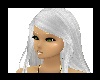 White Hair Zahnia