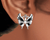 Silver Earrings F