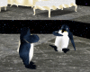 Penguins Playing