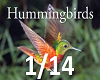 M*Hummingbirds1/14