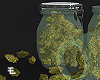 Weed Jar