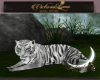 Animated White Tiger