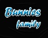 [DS] bunnies family