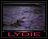 .l Purple Lotus Frame