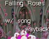 AV Falling Roses-w/song