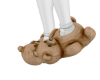$. Bear Slippers. (F)
