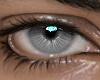 Crystal Grey Unisex Eyes