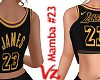 Jersey mamba 23