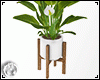 Cute Planter