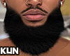 Asteri big beard