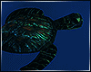 OL TortuGa Sea Turtle I