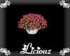 :L: Rose Carnations 