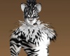 White tiger fur